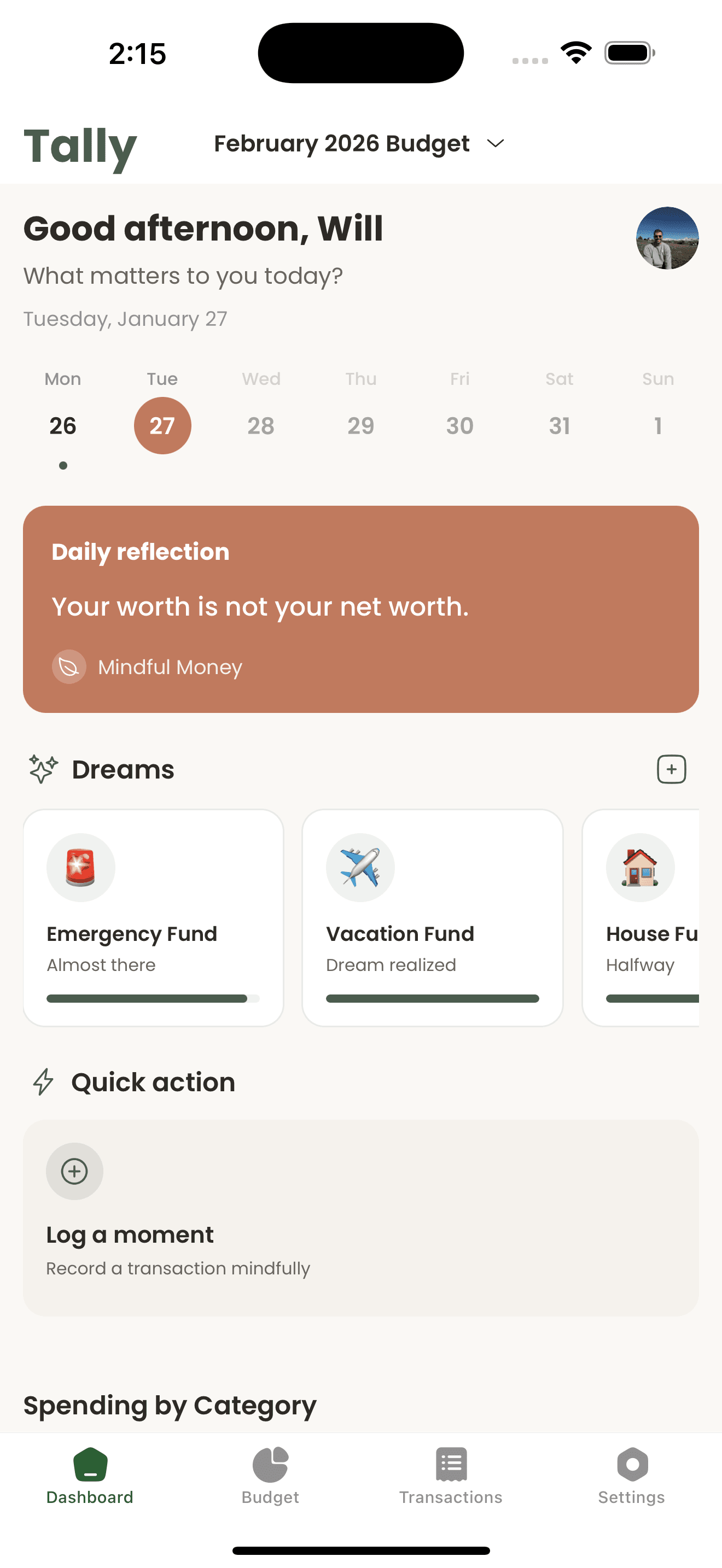 Tally app dashboard showing savings goals and spending overview